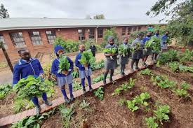 School Food Garden 1